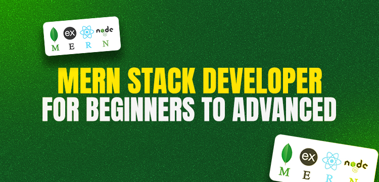MERN Stack Developer