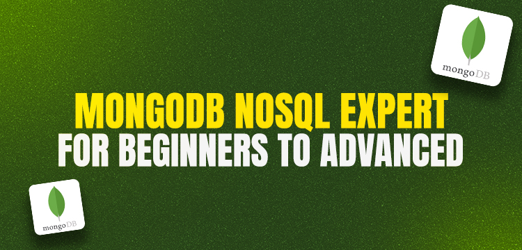 MongoDB NoSQL Expert